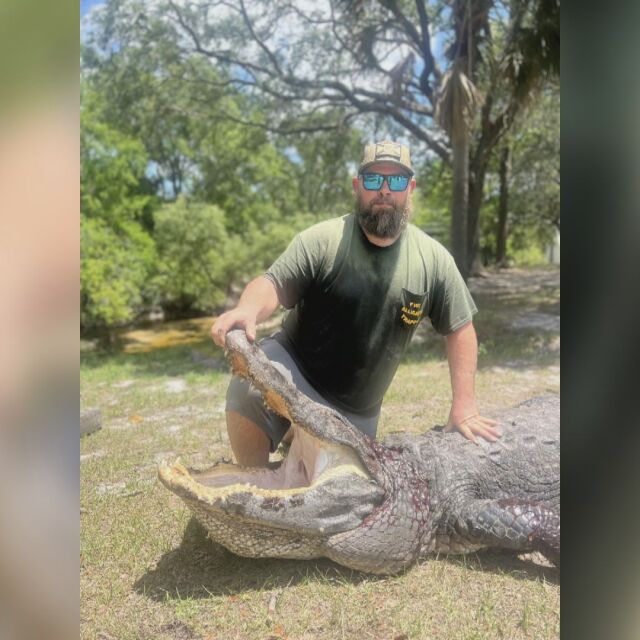 Мъж спаси кучето на приятелката си от устата на четириметров алигатор (СНИМКИ)