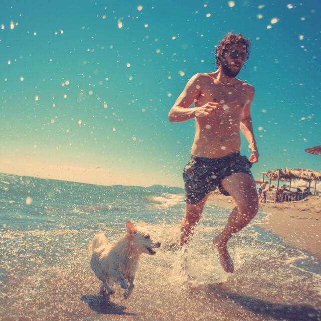 Без кучета на плажа: Забраната във Варна събра полярни реакции