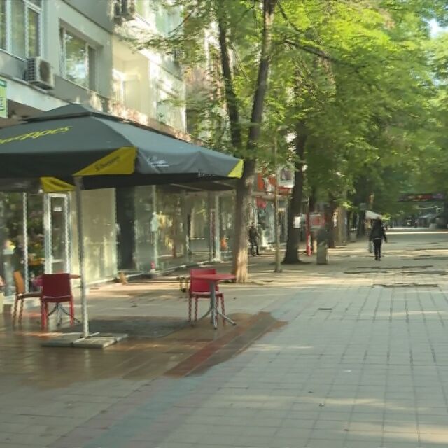 Недоволство срещу премахване на дървета в Добрич