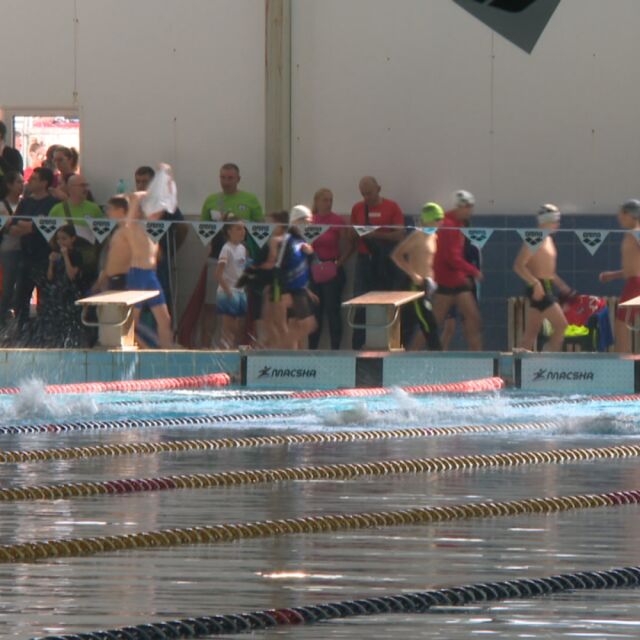 "Златоперки" - най-голямото плувно състезание за деца (ВИДЕО)