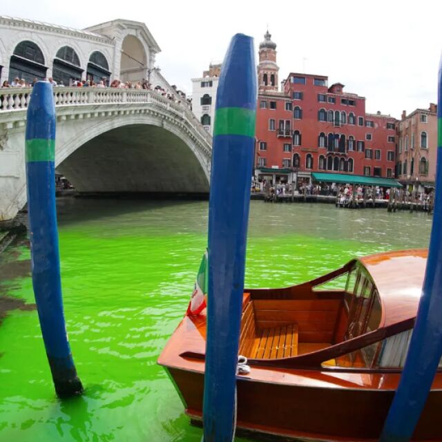 Защо водата във Венеция светна във флуоресцентно зелено?