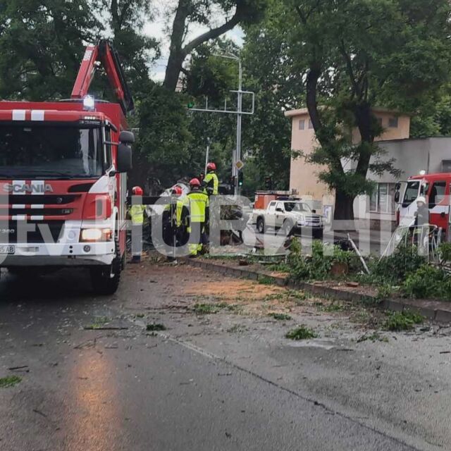 С висока скорост: С колко се е движил автомобилът, причинил тежката катастрофа в Пловдив?