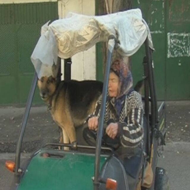 81-годишната шофьорка баба Яна - фурор по улиците на Благоевград