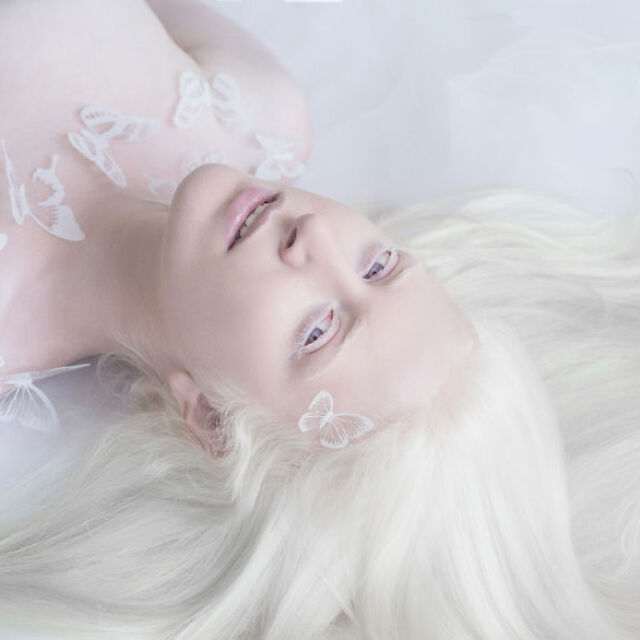 Порцелановата красота на албиносите