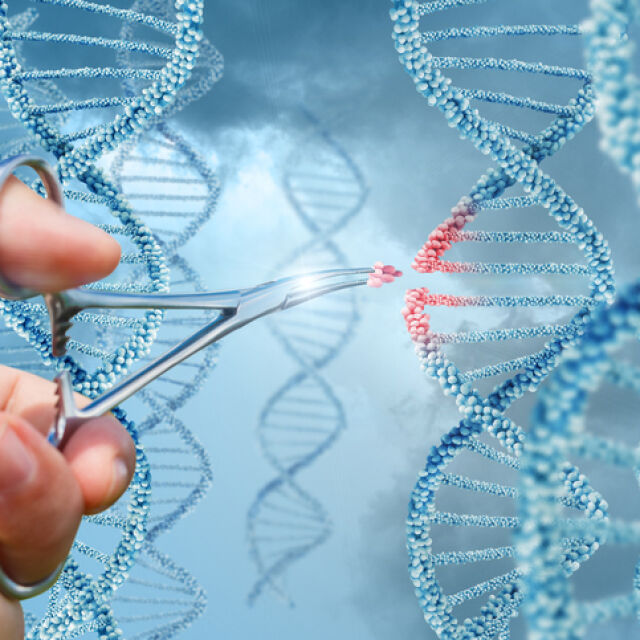 Учени опитват да направят първата „генетична редакция” в тялото на човек