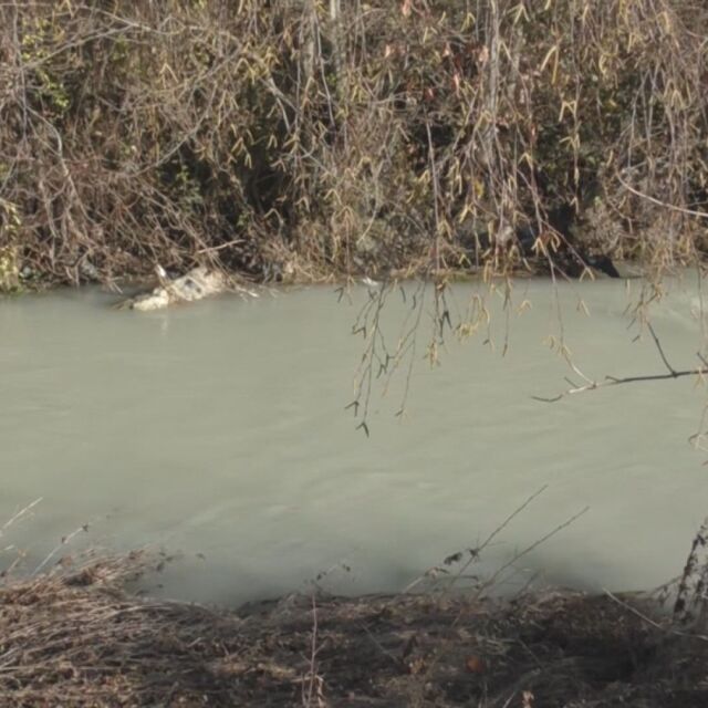 Четири общини в Родопите са със забрана за използване на водата от чешмите