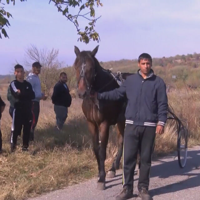 Задържаха собствениците на каруците, предизвикали катастрофата край Казанлък 