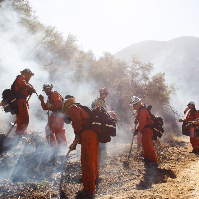 Изчезналите след пожара в Калифорния са вече над 1000