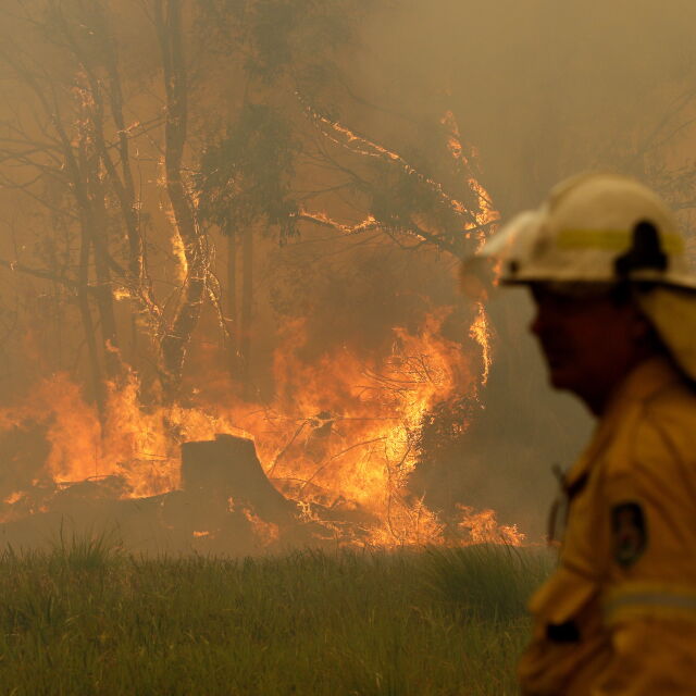 Три жертви и десетки ранени при пожарите в Австралия (ВИДЕО И СНИМКИ)