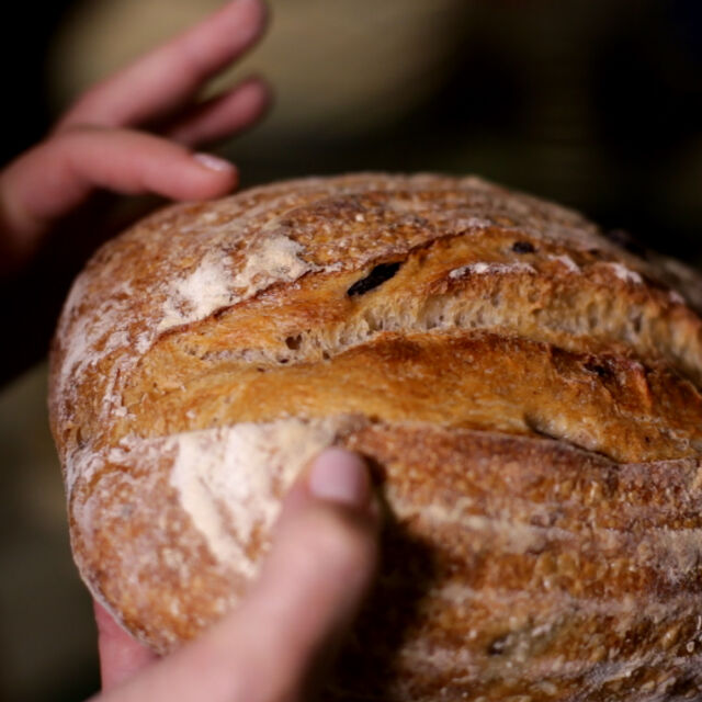 Коя е най-старата рецепта за приготвяне на хляб в света (СНИМКИ и ВИДЕО)