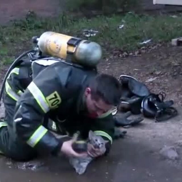 Пожарникар не се спира пред нищо, за да спаси ранено коте (ВИДЕО)