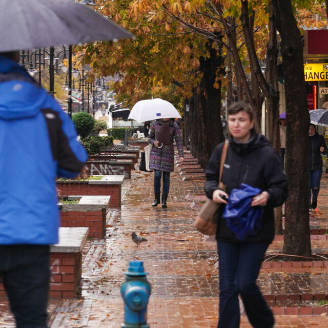 Интензивни валежи и паднали дървета в София