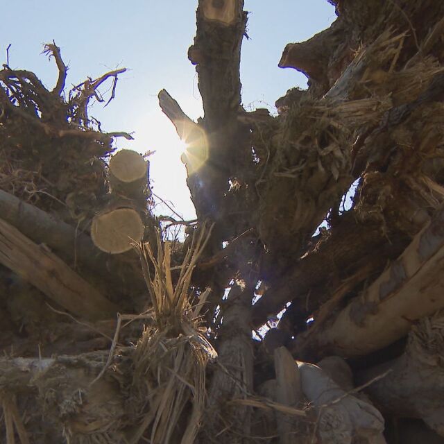 Министър Гечев обеща помощ за безплатните дърва в наводнените села