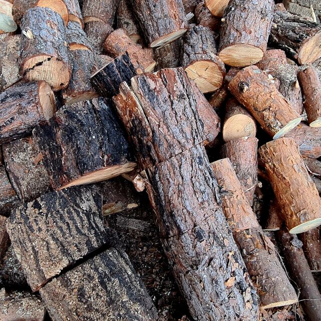 Жители на община Котел бедстват заради липса на дърва за огрев