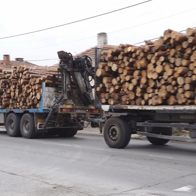 Недостиг на дърва: Властта с мерки срещу липсата на дървесина