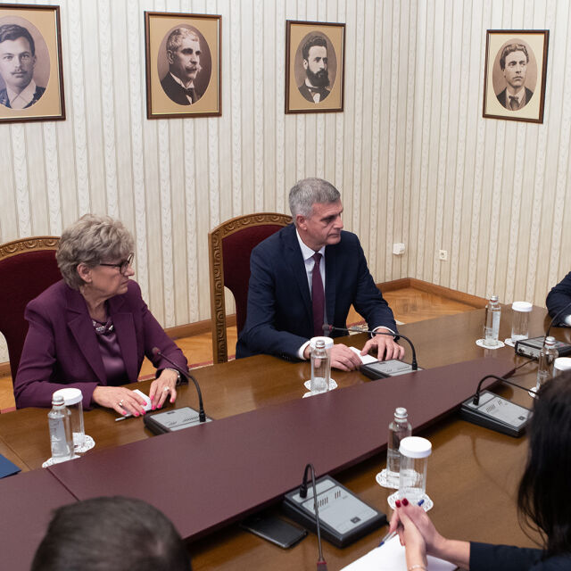 Последен рунд консултации: Президентът се срещна с „Български възход“ (ОБЗОР)