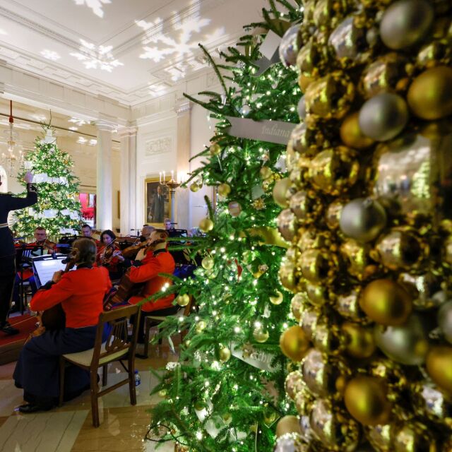 77 елхи с 84 хиляди лампички красят Белия дом за Коледа (СНИМКИ)