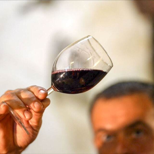 „Да откриеш България“: По стъпките на производството на вино