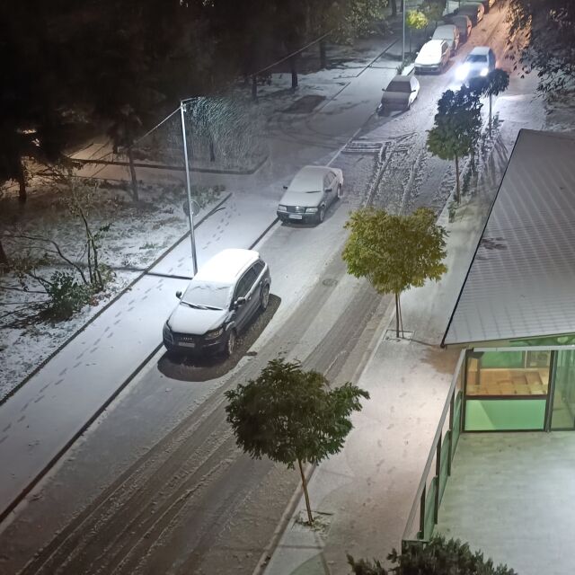 Тежка обстановка в Добричко: Около 30 села са без ток, има закъсали коли и паднали дървета 