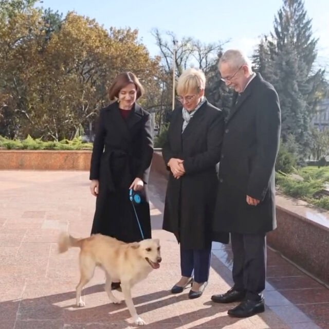 „Първото куче“ на Молдова ухапа президент (ВИДЕО)