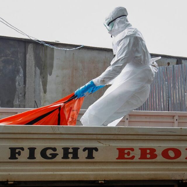 Първи случаи на ебола в Ню Йорк и Мали
