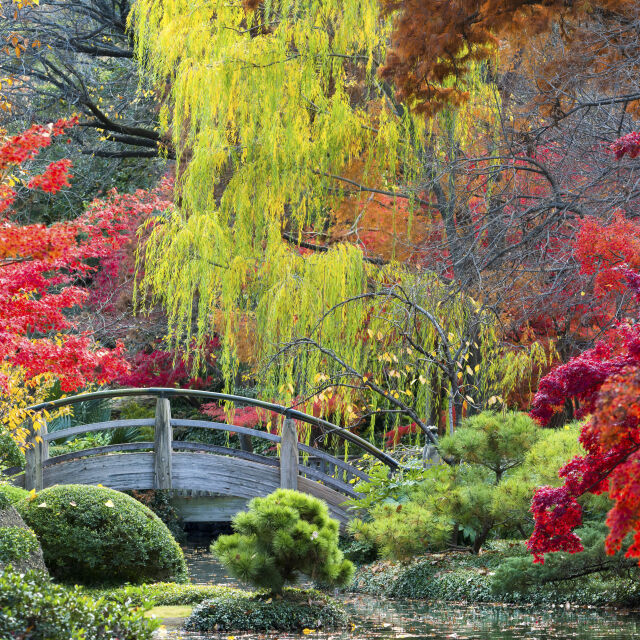 6 причини да посетите Япония през есента 