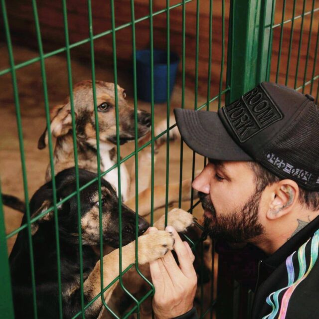 Азис занесе храна на кучета без дом