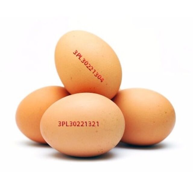 БАБХ изтегля от пазара яйца от Полша заради съмнения за салмонела
