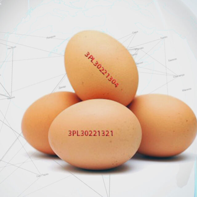 „Чети етикета”: Има ли на българския пазар яйца, заразени със салмонела