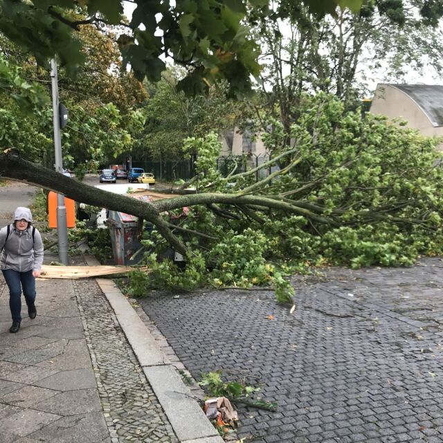 Шестима души загинаха, десетки са ранени при силна буря в Германия