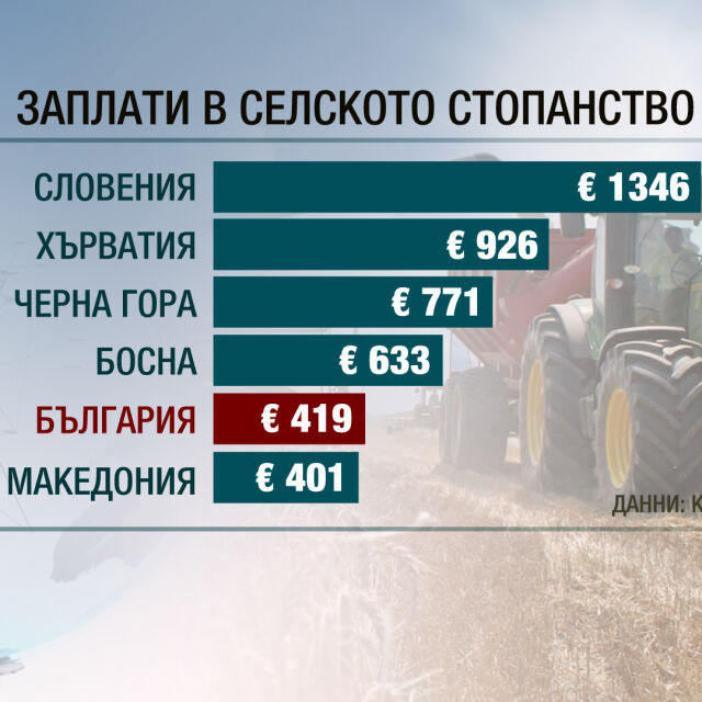 Криза за работници във фермите: На дъното сме по заплати в селското стопанство в ЕС 
