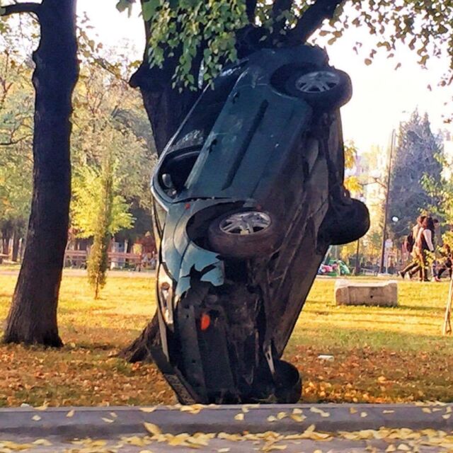 Лек автомобил „кацна” край дърво в най-новия парк в Стара Загора