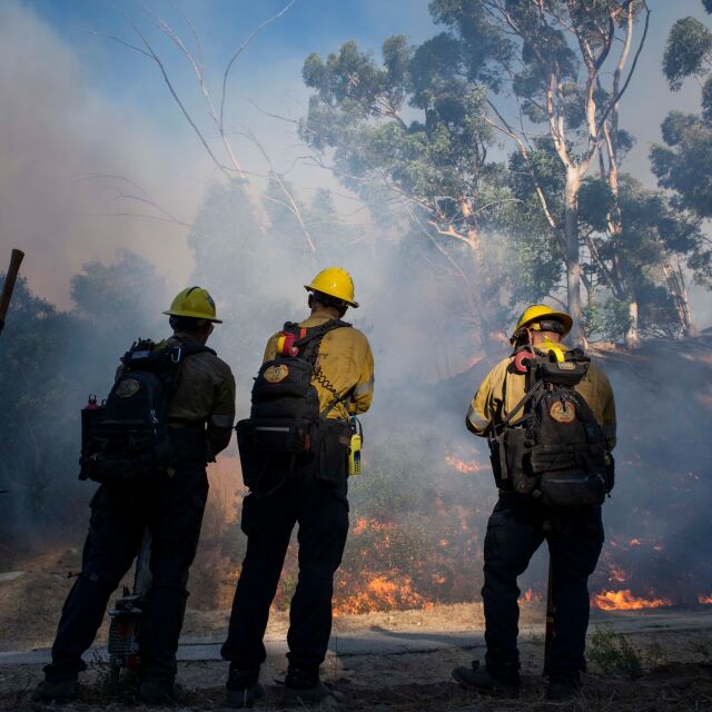 100 хил. души са евакуираните заради горски пожари в Калифорния