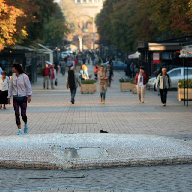 "Афис": 1/3 от българите смятат, че животът ще се върне към нормалния си ход до няколко месеца
