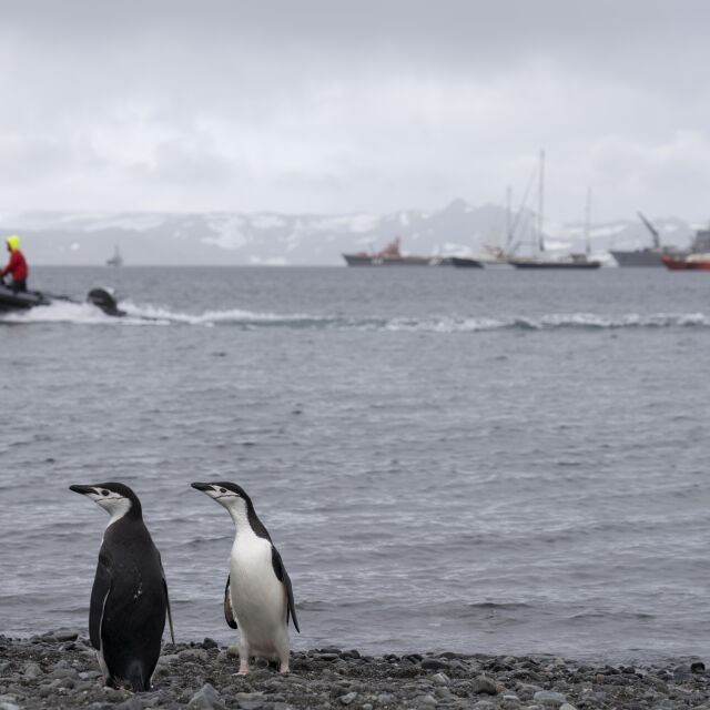 След отлагане заради пандемията: Български изследователи заминаха за Антарктида 