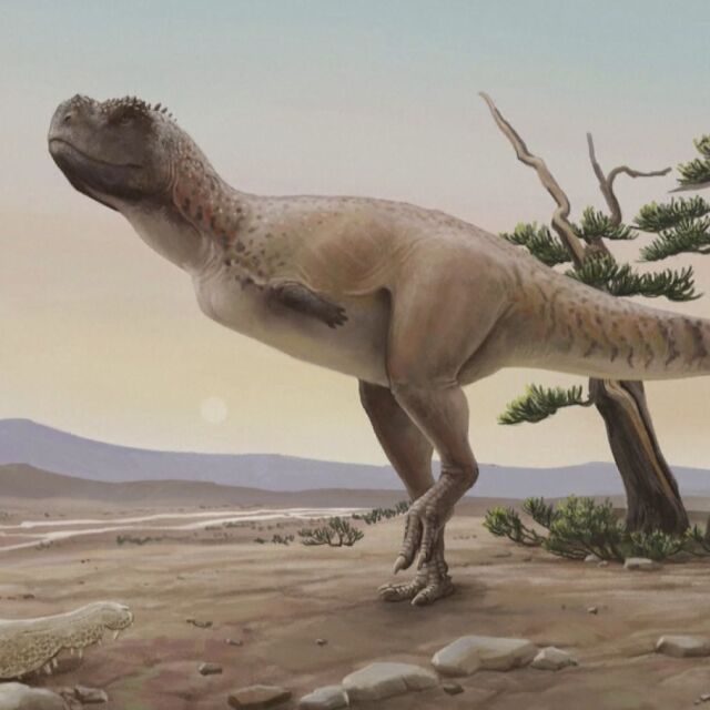 Археолози в Бразилия откриха останки от непознат вид динозавър