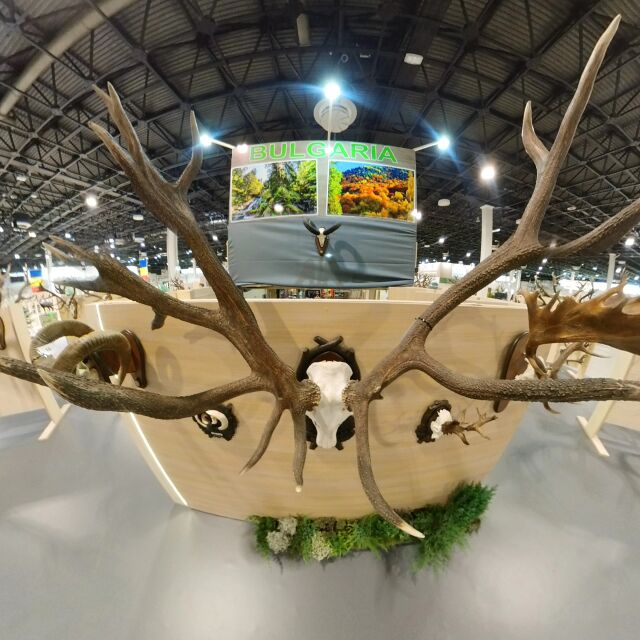 „В едно с природата“: Световно ловно изложение се проведе в Будапеща (СНИМКИ)