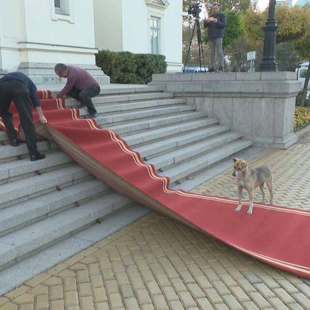 Фен на парламента: Куче посрещна новите депутати (ВИДЕО)