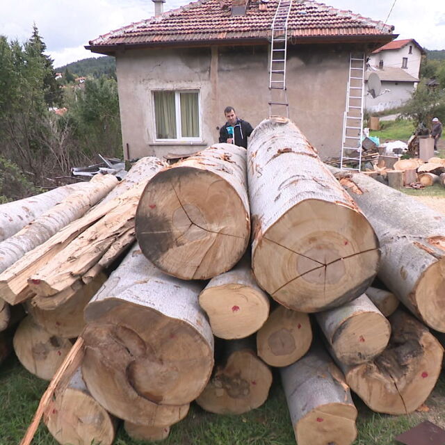 Разследване на bTV разкри незаконна схема за доставка на дърва за огрев