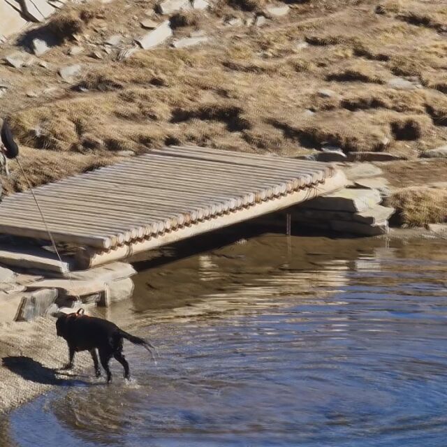 Куче се изкъпа в едно от Седемте рилски езера (ВИДЕО)