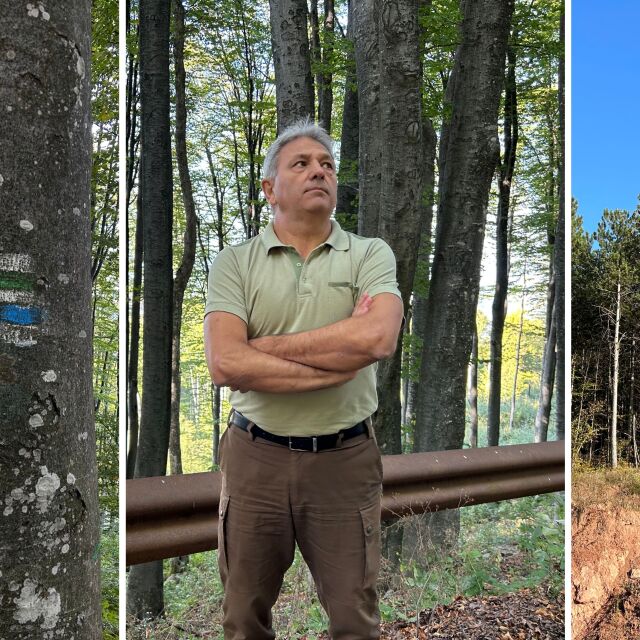 Това са разликите между стопанисвана и нестопанисвана гора в България (ВИДЕО + СНИМКИ)