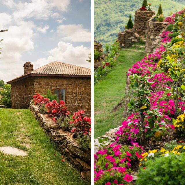 Инвестиция в миналото: 80 000 цветя красят българското село Долене