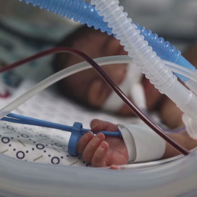 „Ще загубим всички за 5 минути“: Недоносени бебета в кувьози в Газа са изложени на риск (ВИДЕО)