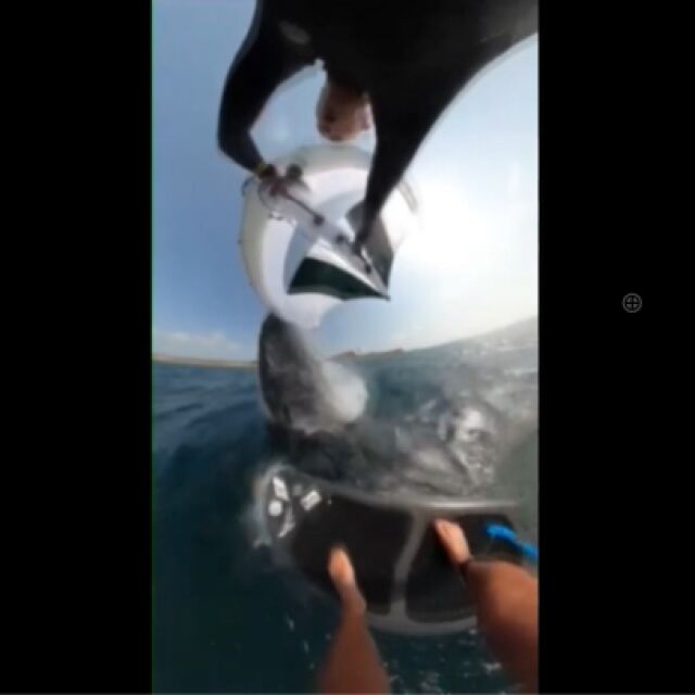 „Повлече ме на 20-30 м под водата“: Сърфист се сблъска с кит и засне момента (ВИДЕО)