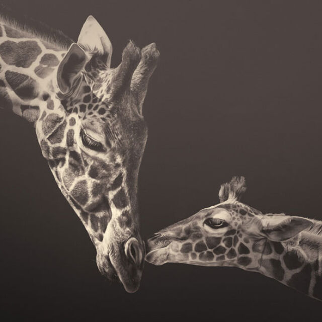 10 разтърсващо красиви фотографии на застрашени от изчезване видове