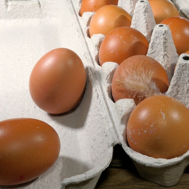 Забранените от реализация яйца с фипронил са 1,5 милиона