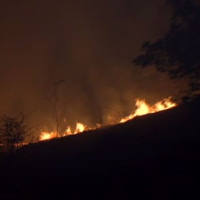 Пожар изпепели 400 дка край благоевградското село Дренково 