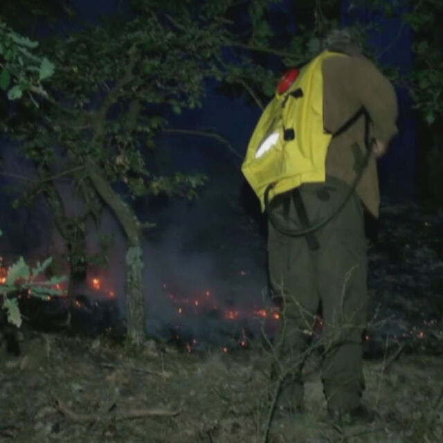 Пожарът над село Дренково – най-големият горски пожар за тази година