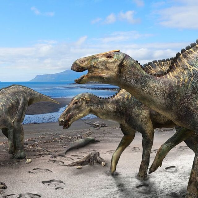 Учени откриха нов вид динозаври в Япония