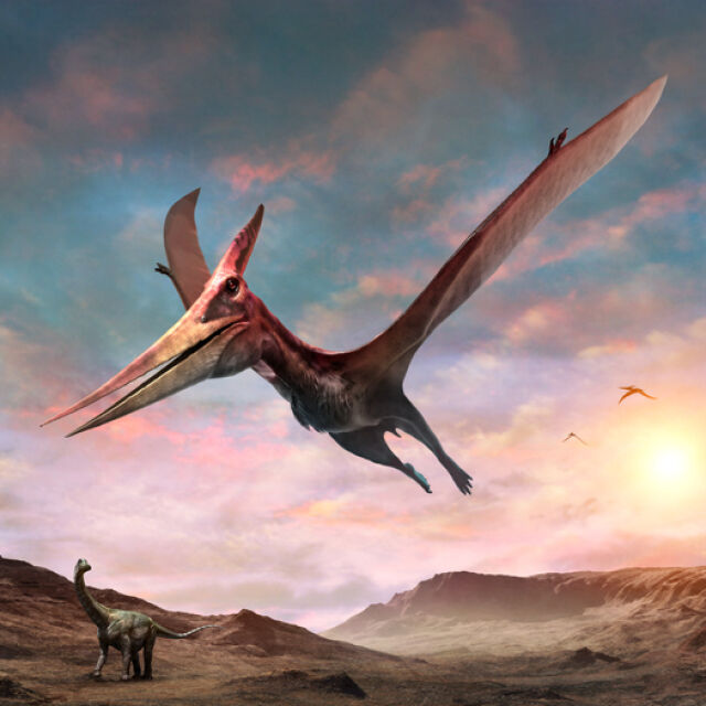 “Замръзналият дракон на севера” – откриха нов вид динозавър